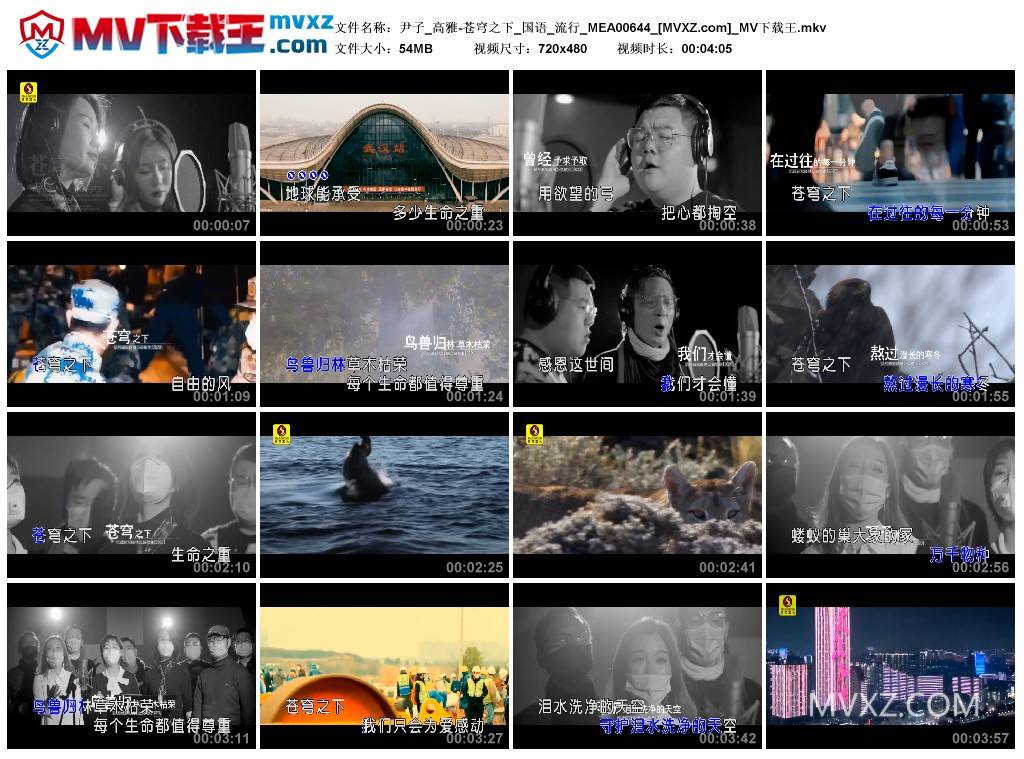 尹子_高雅-苍穹之下_国语_流行_MEA00644